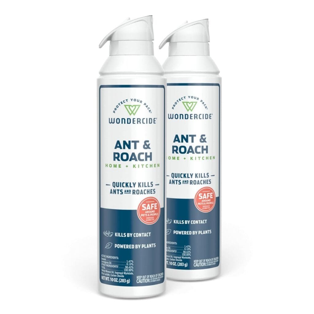 Ant & Roach Aerosol Spray for Kitchen