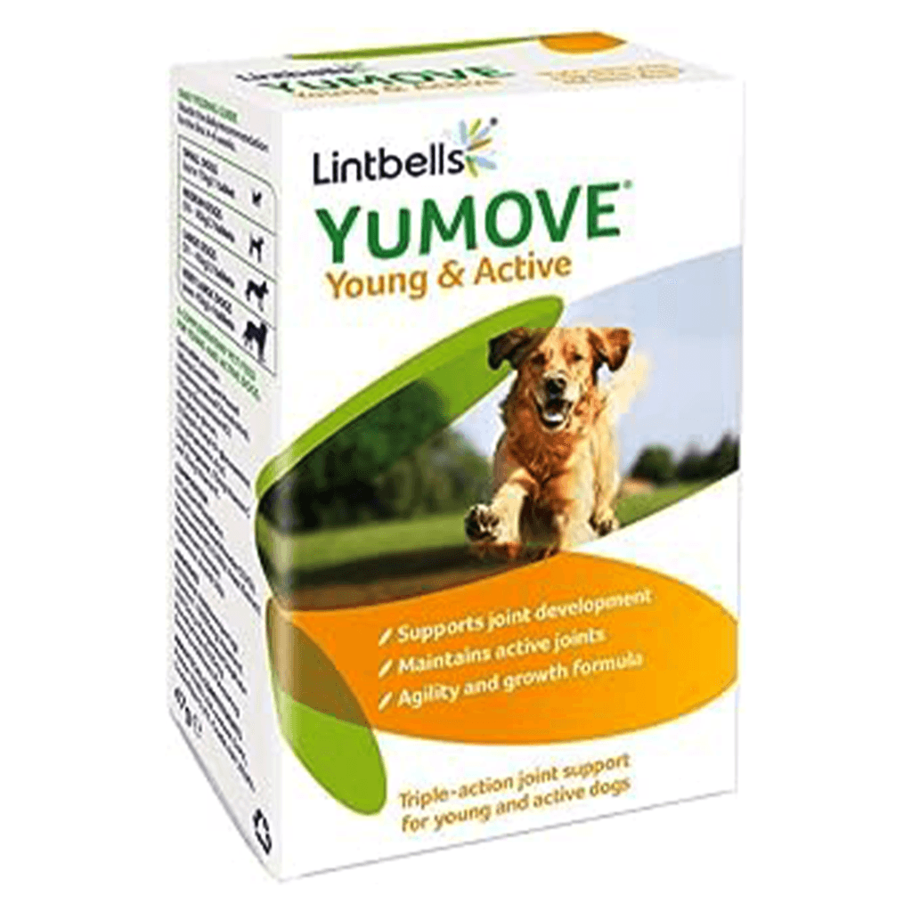 Dog Joint Supplement for Senior Dogs