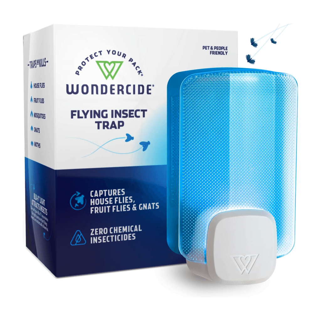 Flying Insect and Fly Trap