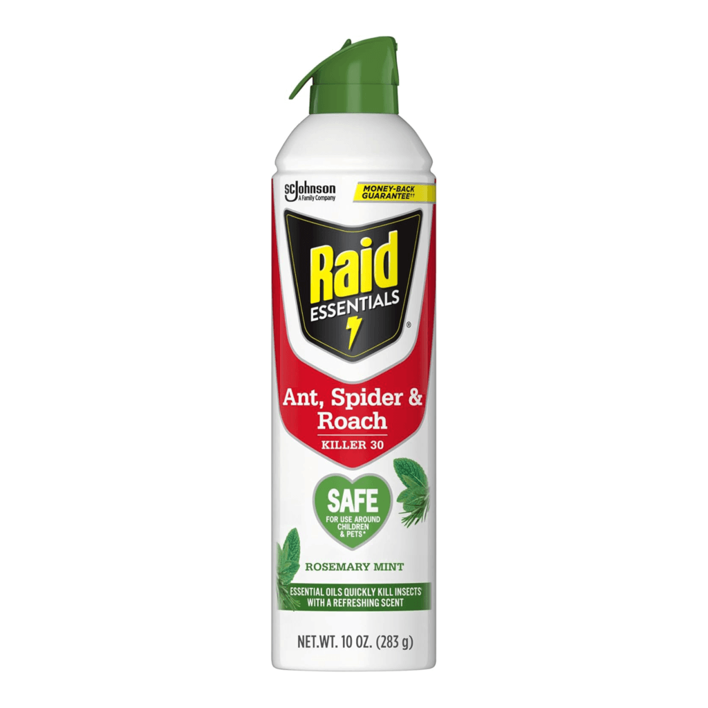 Raid Essentials Ant, Roach & Spider Killer Aerosol Spray